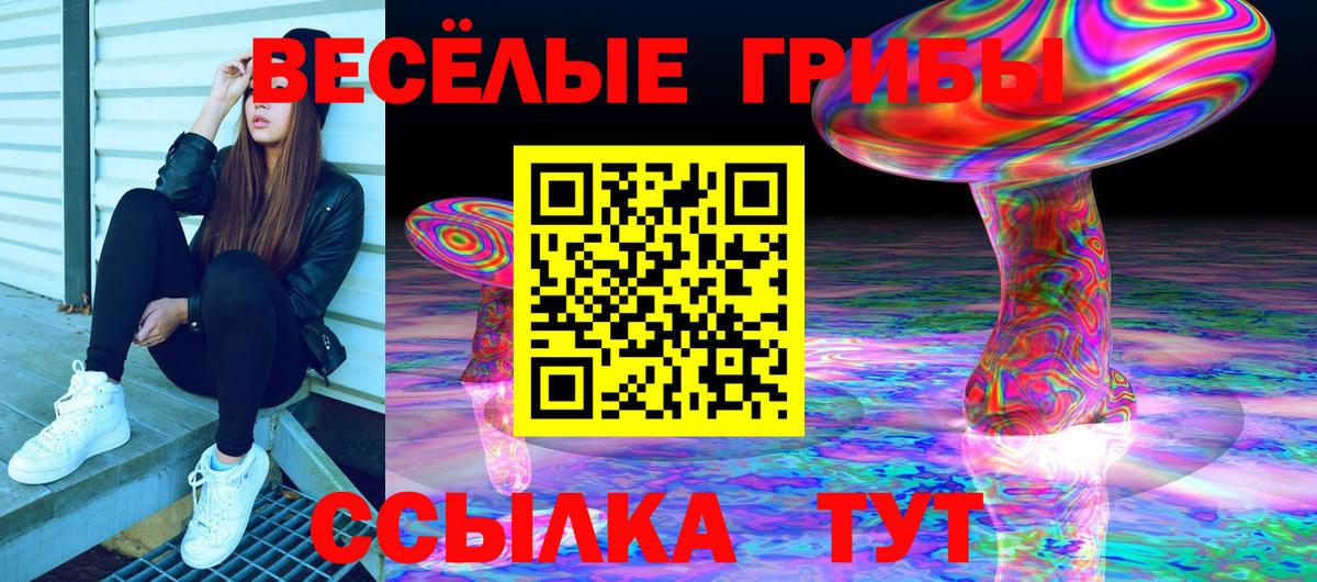Псилоцибиновые грибы Psilocybine cubensis  Вход с VPN  Кумертау 