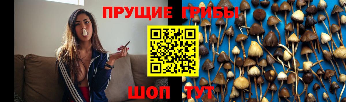 Псилоцибиновые грибы мухоморы Кумертау